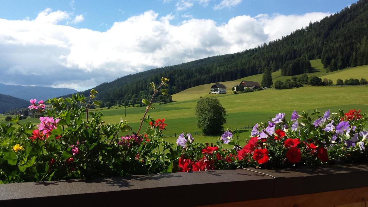 Ferienwohnungen Haus-Holzer Mauterndorf  Exteriér fotografie