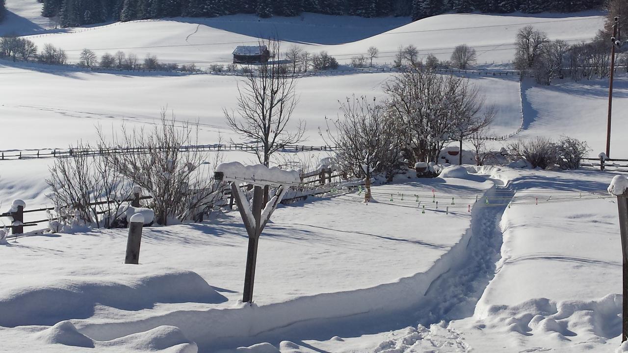 Ferienwohnungen Haus-Holzer Mauterndorf  Exteriér fotografie